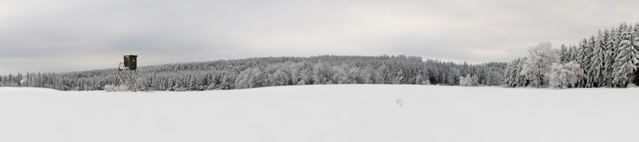 Winterjagd